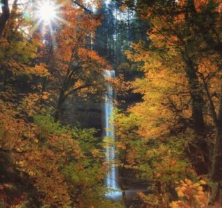 Why Fall Is the Best Time to Replace Your Windows in Oregon