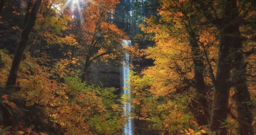 Why Fall Is the Best Time to Replace Your Windows in Oregon